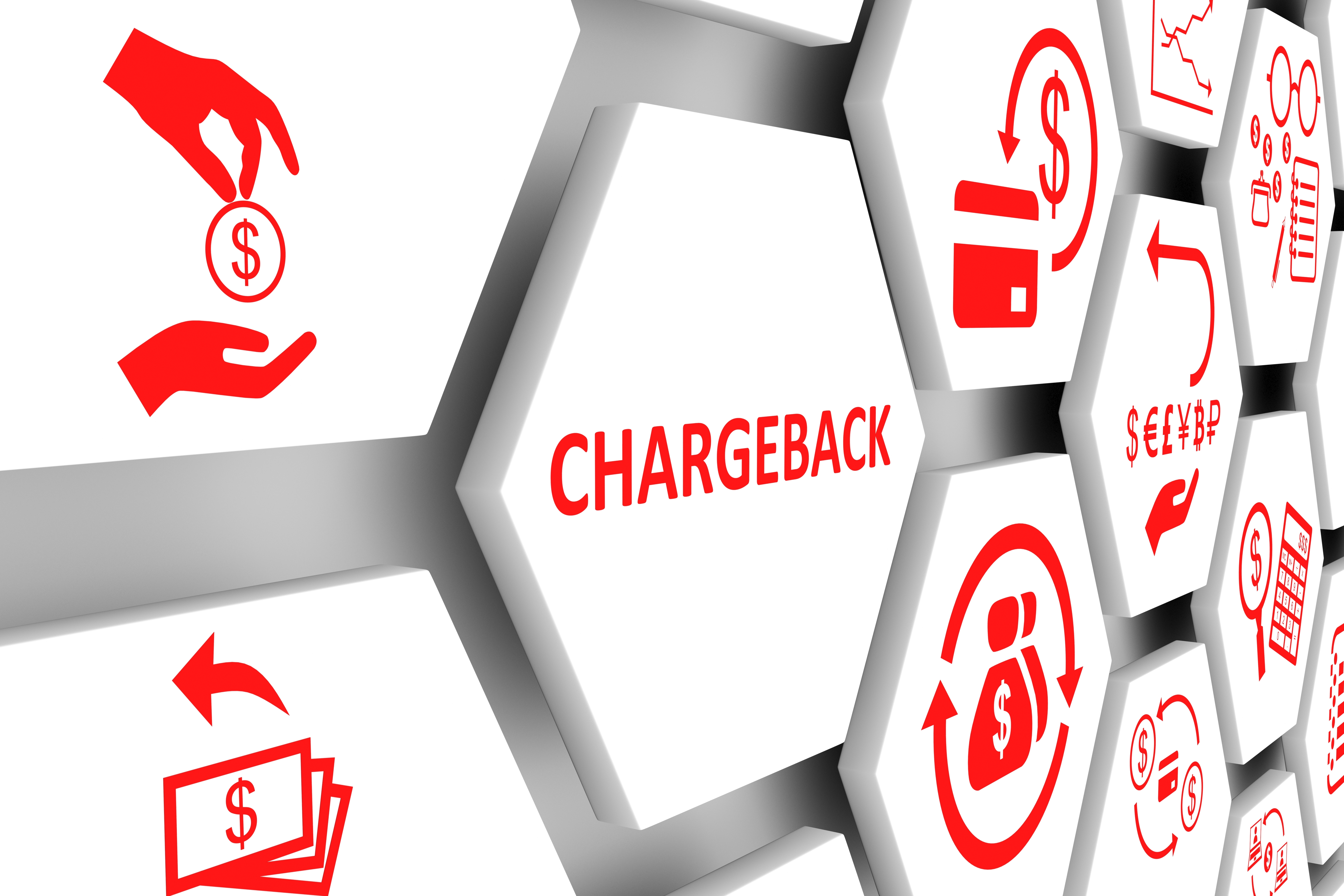Credit Card Fraud Chargebacks